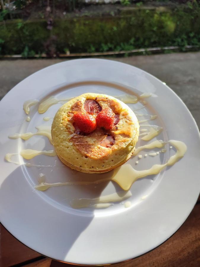 Dina Villa Ubud Kültér fotó